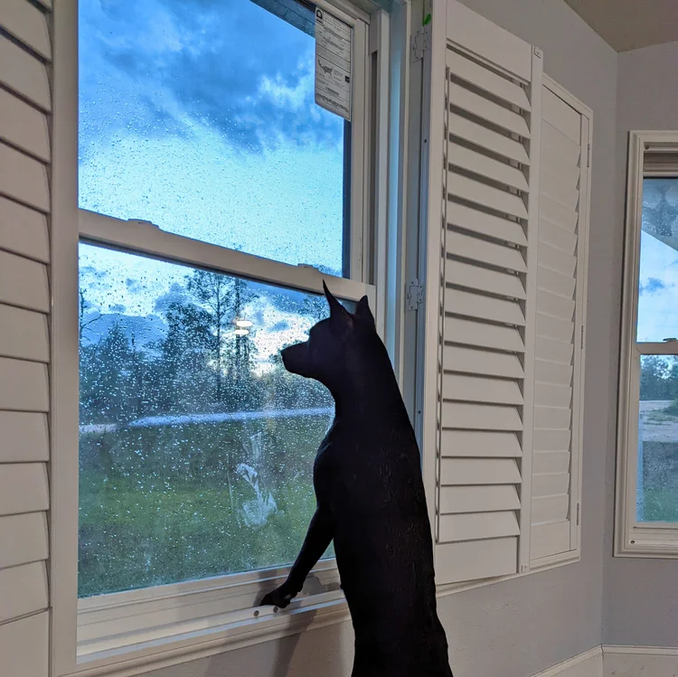 Artisan replacement window installation